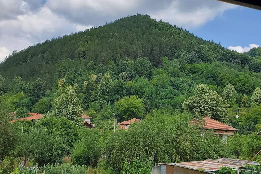 Двете Къщи В Планината Villa เบลีโอซุม ภายนอก รูปภาพ